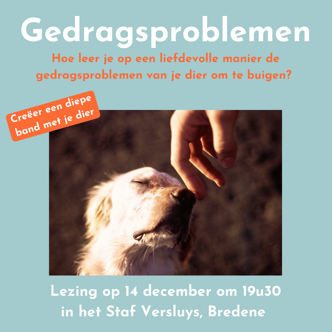 Werelddierendag-2